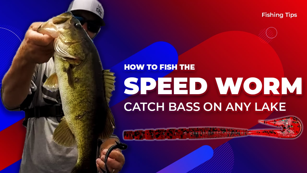 How to Fish a Speed Worm